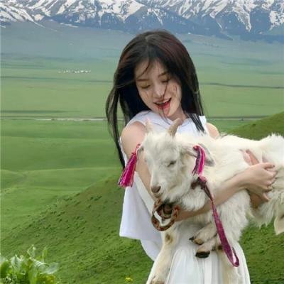 秘密档案